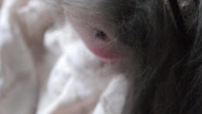 Poupée waldorf, poupée chiffon, poupée tissu, Le Monde Joli de Rose et Marie